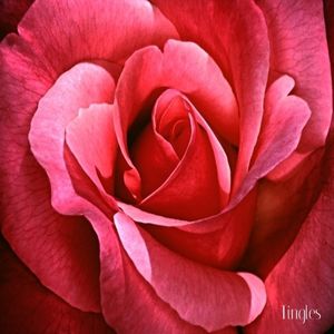 r-7390379-1440468393-1509-jpeg1